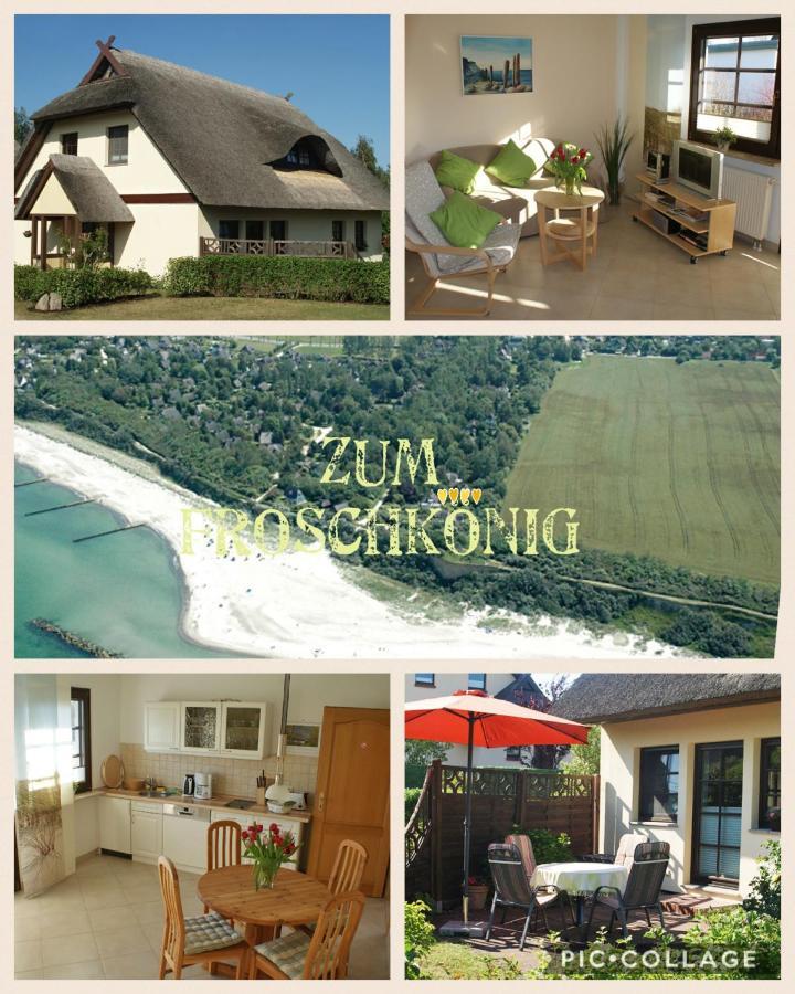 Zum Froschkoenig Apartamento Ahrenshoop Exterior foto