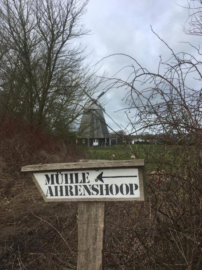 Zum Froschkoenig Apartamento Ahrenshoop Exterior foto